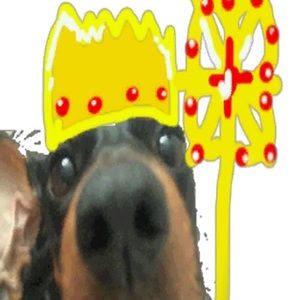 Meet your Posher, Therealestbird